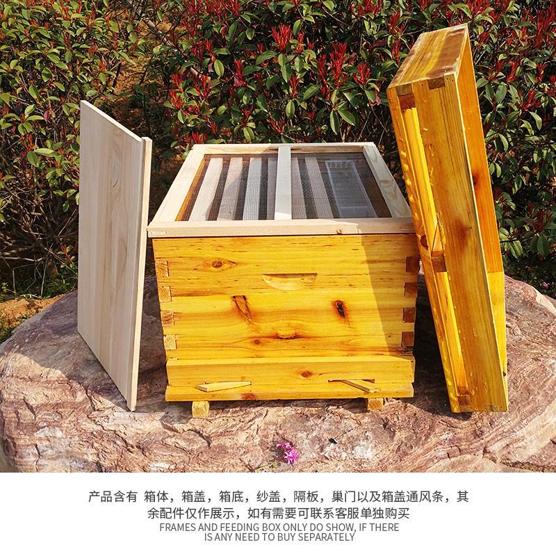 Beehive Frame Wax - Bee beehive Full set of beekeeping