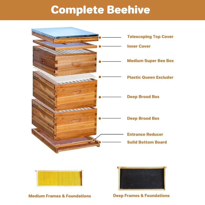 10-Frame Complete Beehive Kit, - Beehive Frame Wax recension och pris